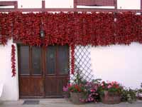Schage de Piments